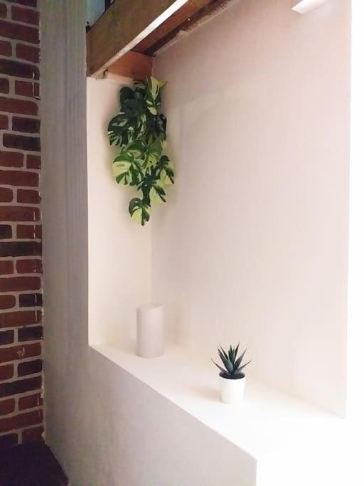 Le Paisible - Gare - Duplex - Garage Prive - Netflix Appartement Grenoble Buitenkant foto