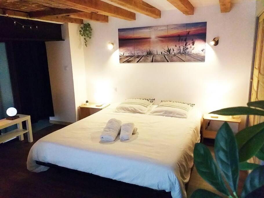 Le Paisible - Gare - Duplex - Garage Prive - Netflix Appartement Grenoble Buitenkant foto