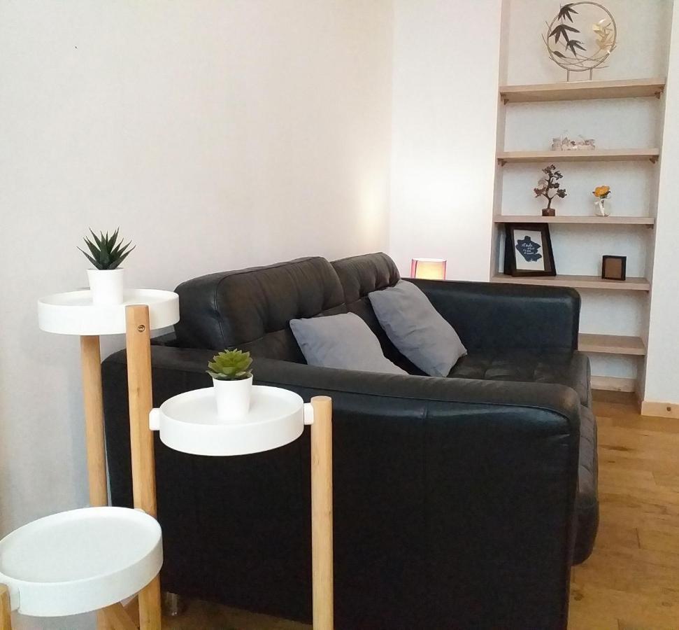 Le Paisible - Gare - Duplex - Garage Prive - Netflix Appartement Grenoble Buitenkant foto